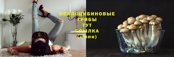 трава Арсеньев
