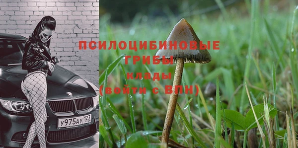 скорость Аркадак